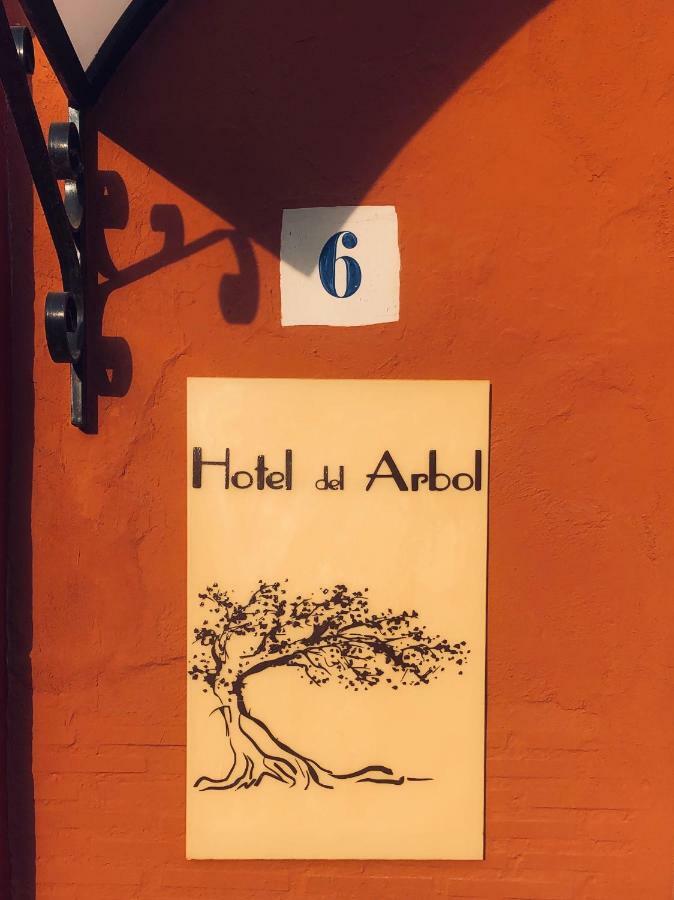 Hotel Del Arbol Xàtiva Εξωτερικό φωτογραφία